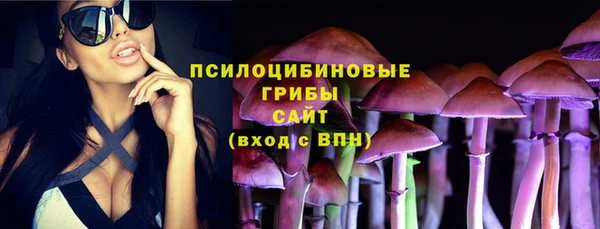 твердый Арсеньев