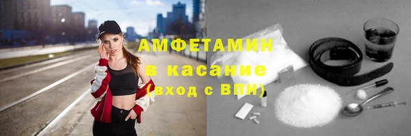 твердый Арсеньев