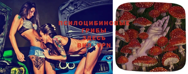 соль ск Аркадак