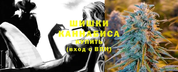 твердый Арсеньев