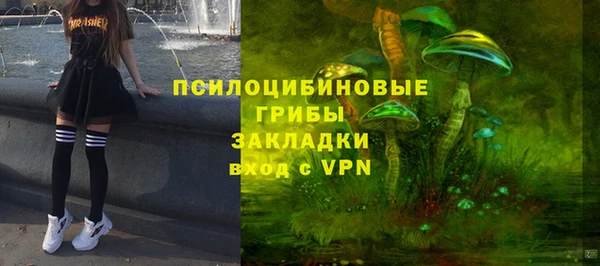 твердый Арсеньев