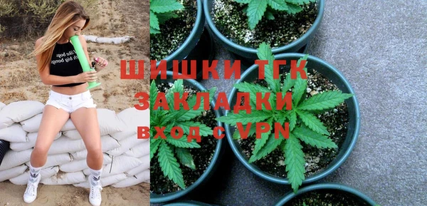 твердый Арсеньев