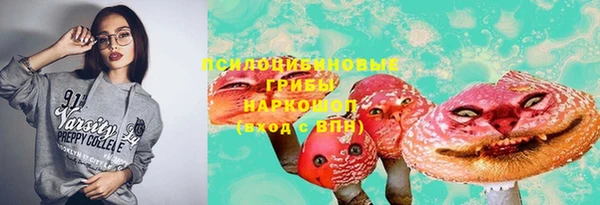 твердый Арсеньев
