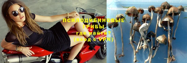 твердый Арсеньев