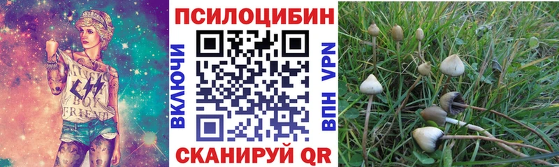 блэк спрут зеркало  Саяногорск  Галлюциногенные грибы GOLDEN TEACHER 